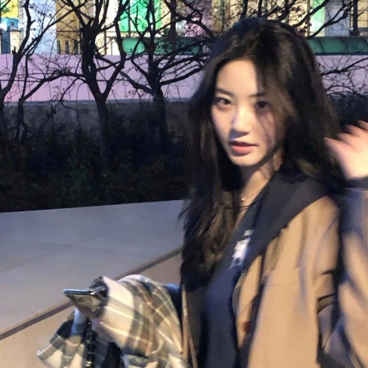 吸血鬼侦探